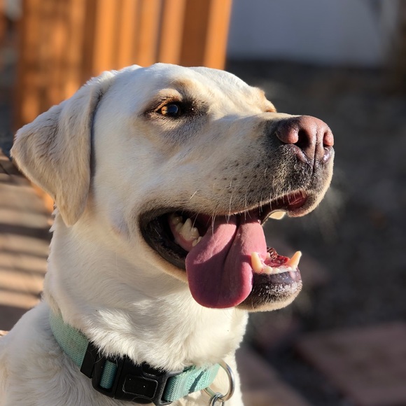 Meet your Posher, Christy! - Picture 1 of 1